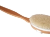 Back scrubber.jpg